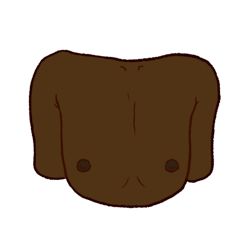 a dark brown chest without breasts or chest hair.
